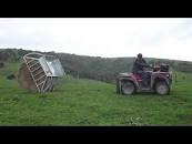 Cradle Hay Feeder by Advantage Feeders