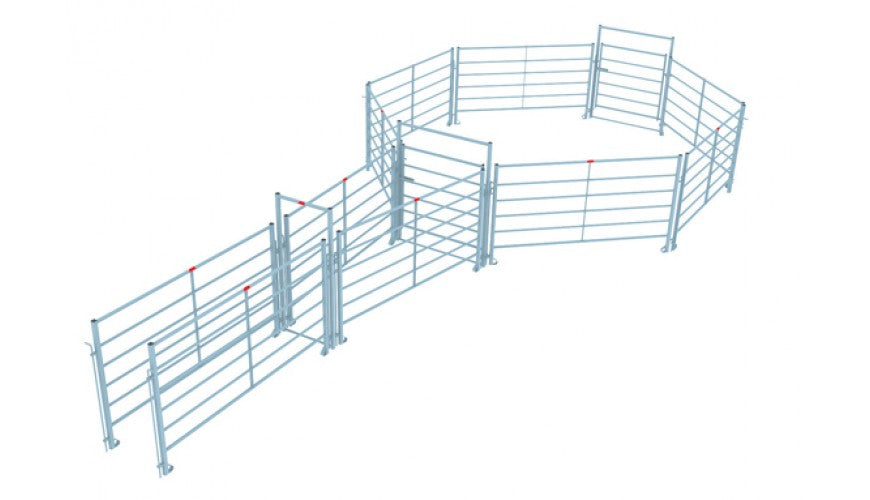 Corral System for Cattle