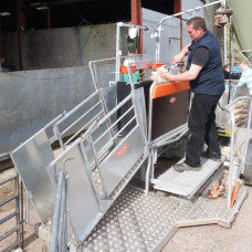 Interview on the Combi  Clamp Sheep Handling System by Real Ag at Ag in Motion 2019