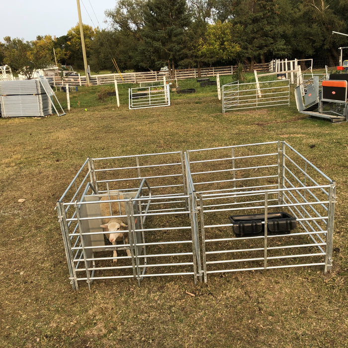 Lamb Jugs and Lamb Adopter