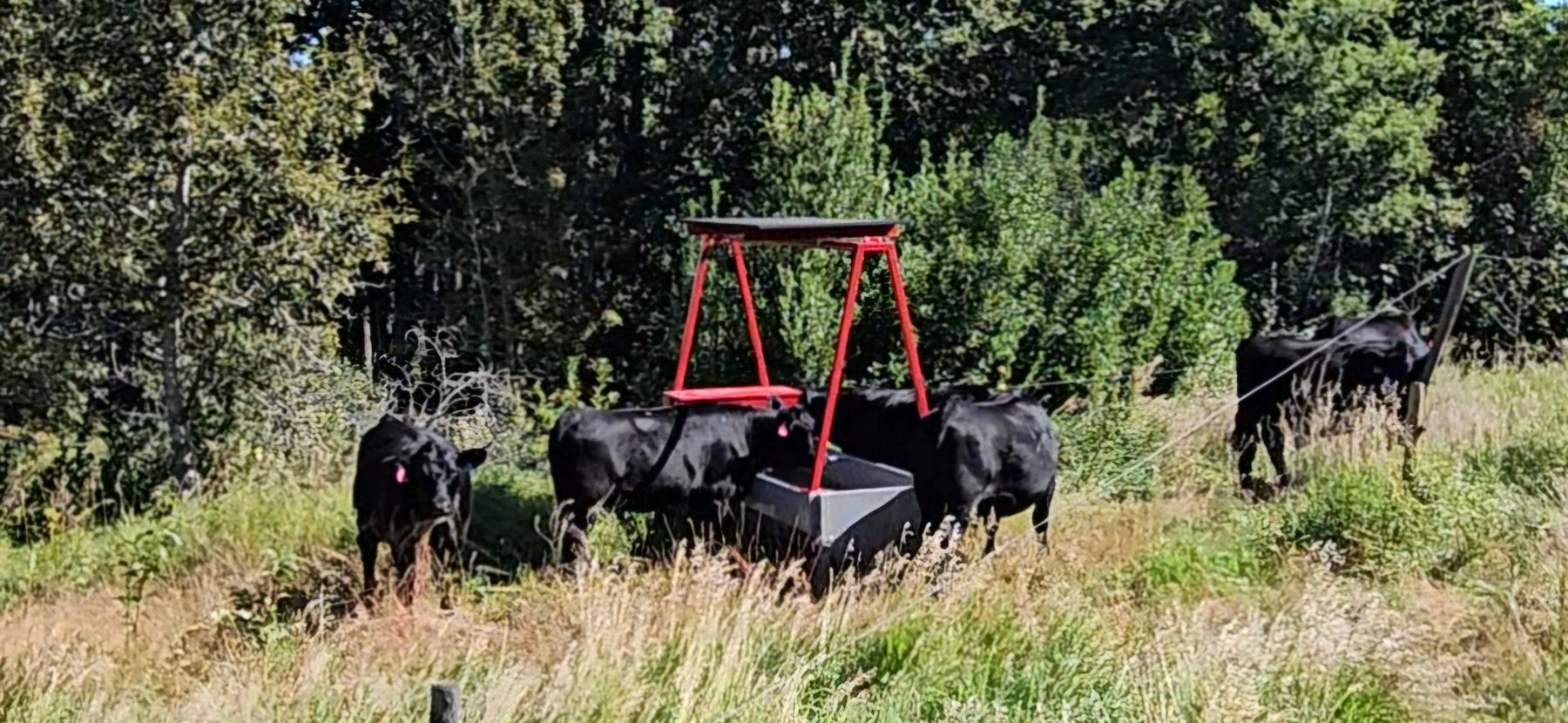 Top Benefits of Using a Solar Water Wagon for Cattle Operations