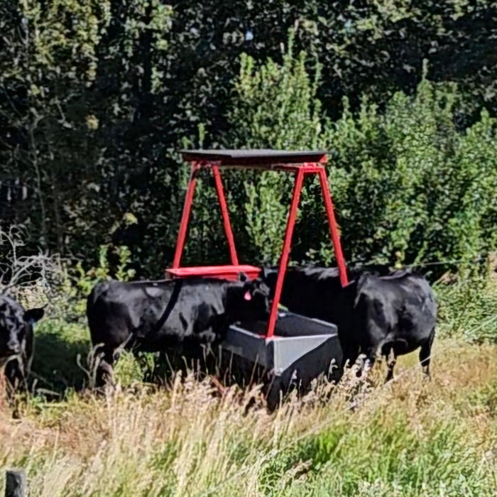 Top Benefits of Using a Solar Water Wagon for Cattle Operations