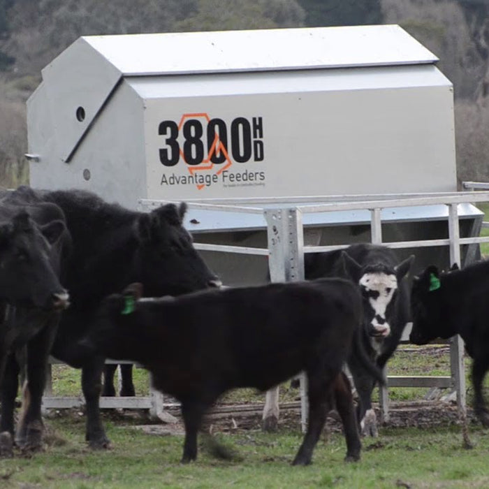What Are the Benefits of Using Calf and Cattle Creep Feeders?