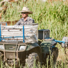 Farmer using an ATV-mounted tire wire winder to roll up portable electric fence in a pasture