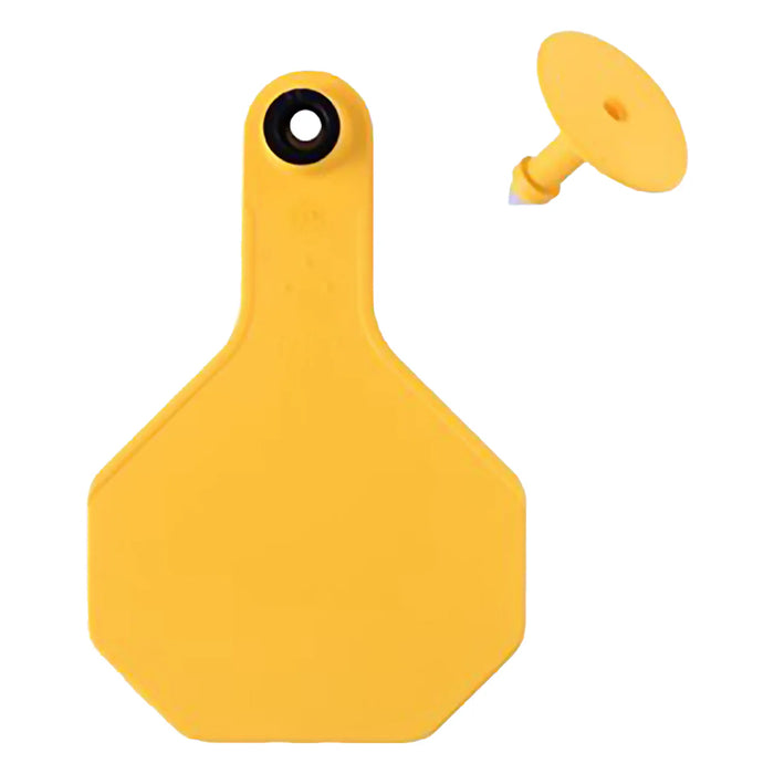 Y-Tex All American 3* (Medium) combo blank (25 pack)