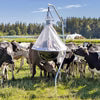 Kerbl Horsefly Trap TaonX