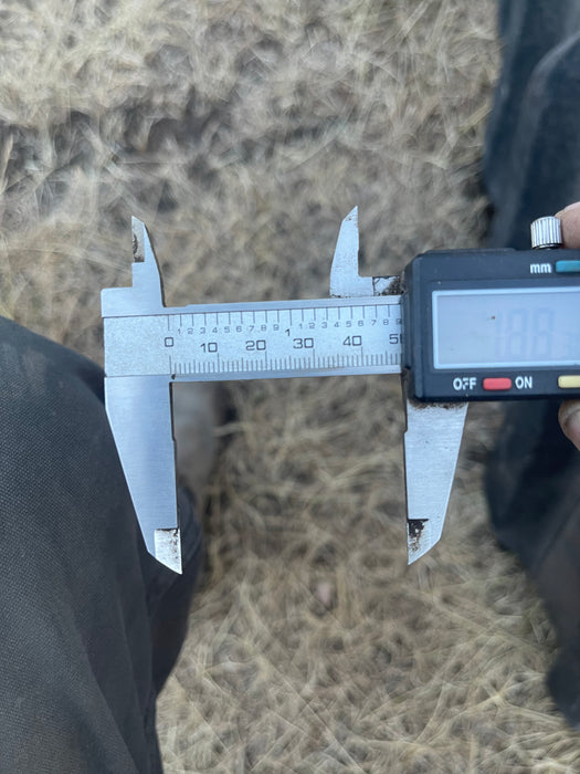 30" Cat Challenger MT800 used track. Camoplast 1R1266