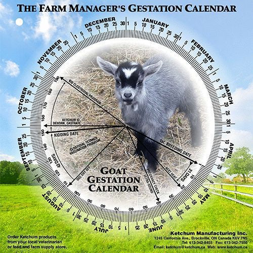 Gestation Wheel Calendars