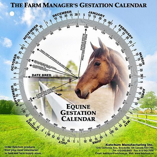Gestation Wheel Calendars