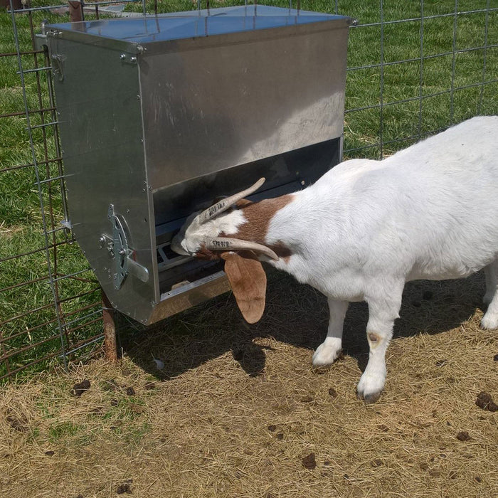 200HD Advantage Feeder (Formerly 150HD 3in1Feeder)