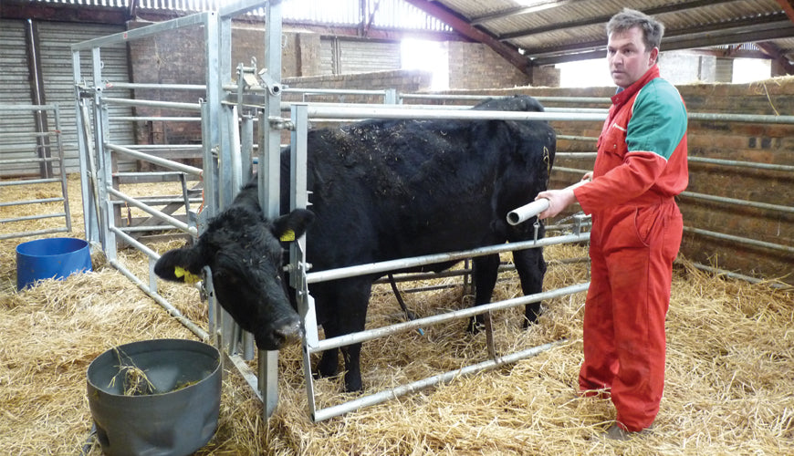 Calving Gate Large Ritchie Ritchie Calving Gate 1060G