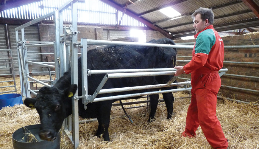 Calving Gate Large Ritchie Ritchie Calving Gate 1060G