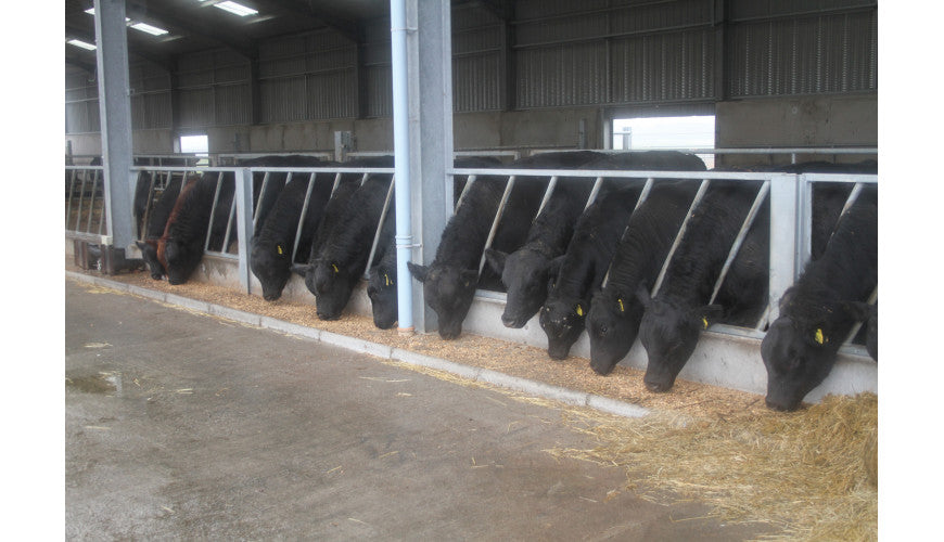 Ritchie Diagonal Feed Barrier