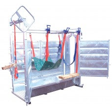 Ritchie Continental Cattle Handling Chute - 339G