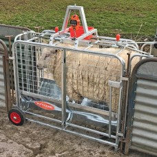 Digital Lamb Scale