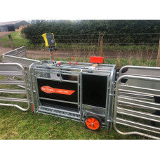Ritchie Draft Pro 3 - Swing Gate Weigh and Draft Sheep all in one!